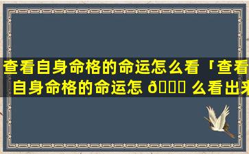 查看自身命格的命运怎么看「查看自身命格的命运怎 🐛 么看出来」